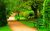 Green_park_trees_nature_beautiful_day_hd-wallpaper-1871-1920×1200 ...