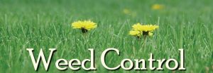 weed control