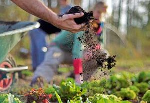 Garden Soil Preparation